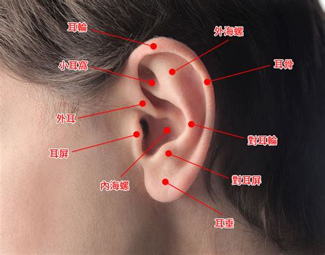 三個耳洞搭配 一層樓幾階